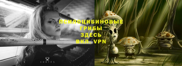 jwh Горно-Алтайск
