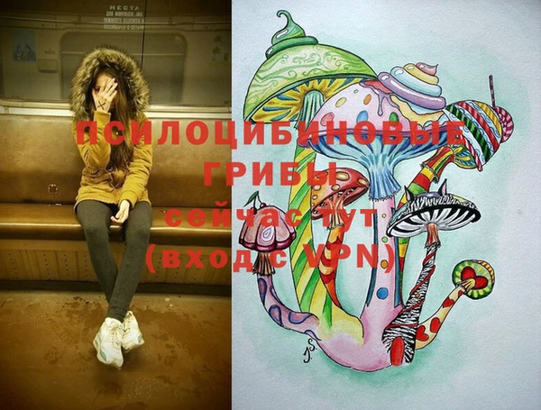 Альфа ПВП Горняк