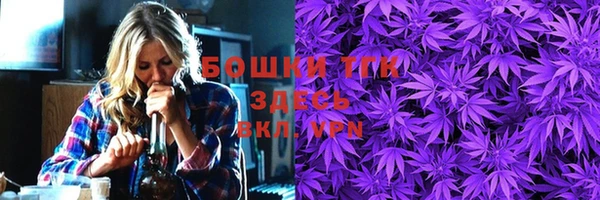 Альфа ПВП Горняк